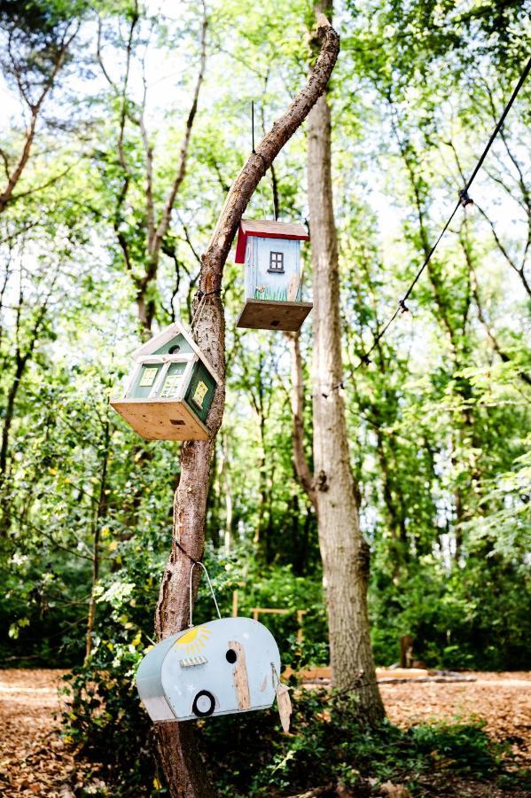 Tinyparks Forest Cabins Hoogersmilde Exterior foto