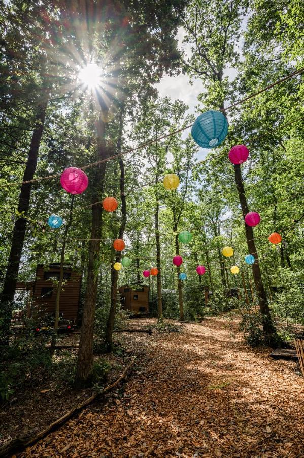 Tinyparks Forest Cabins Hoogersmilde Exterior foto